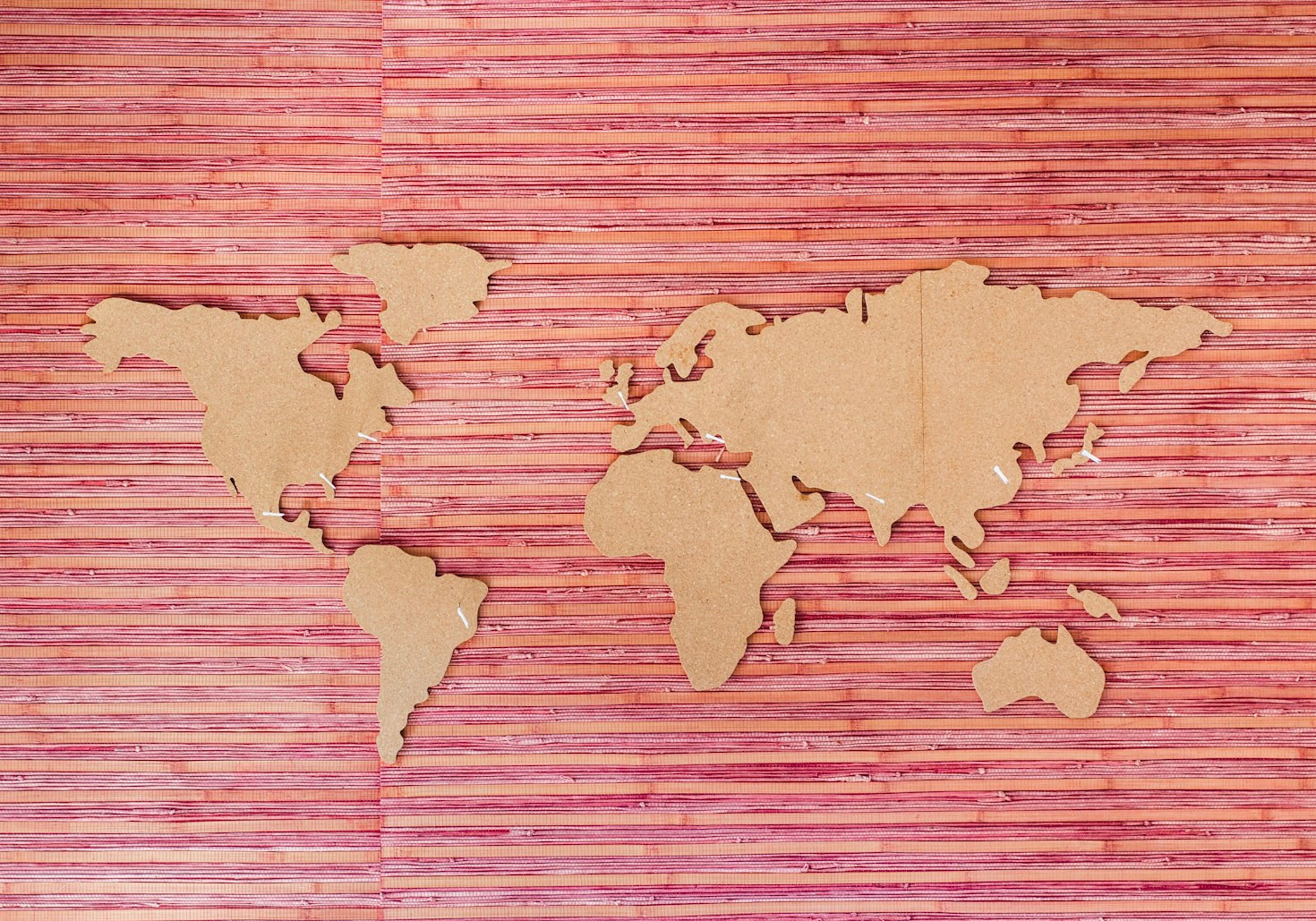 Navigating Cultural Differences in Global Networking
